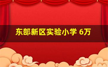 东部新区实验小学 6万